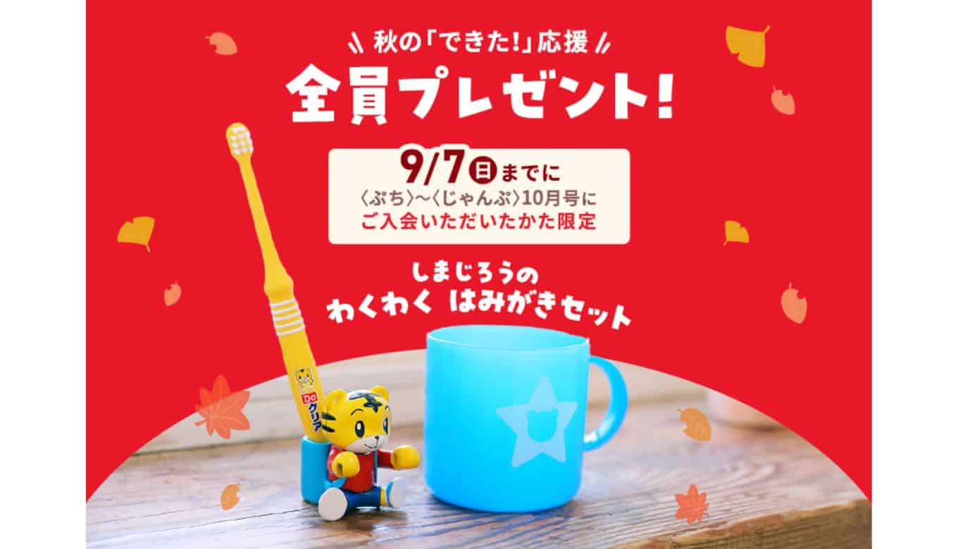 未記入◇完品◇2024 こどもちゃれんじ じゃんぷ(年長) 12か月分 1年分