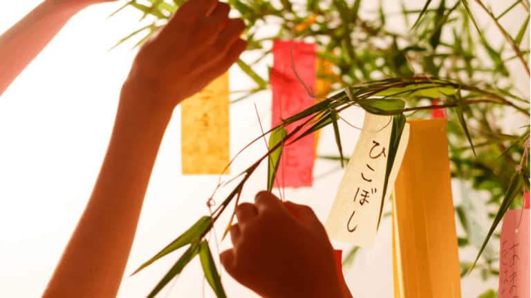 読み聞かせたいおすすめ セミ の絵本 夏の風物詩を知って楽しもう 1歳から 節子日記