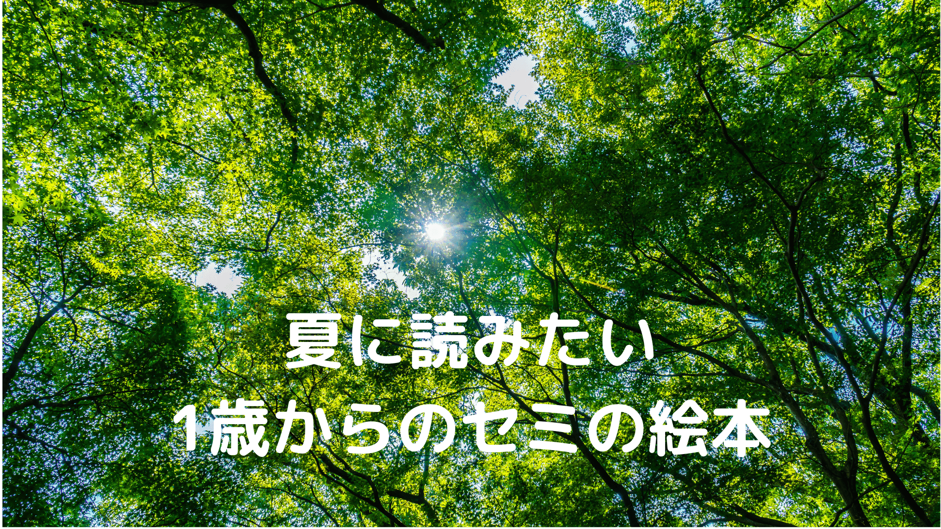 読み聞かせたいおすすめ セミ の絵本 夏の風物詩を知って楽しもう 1歳から 節子日記