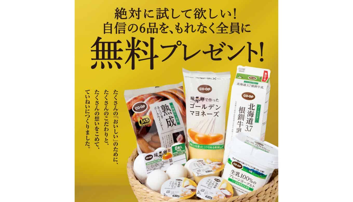 妊婦プレママプレゼントキャンペーン一覧 22年9月最新 節子日記