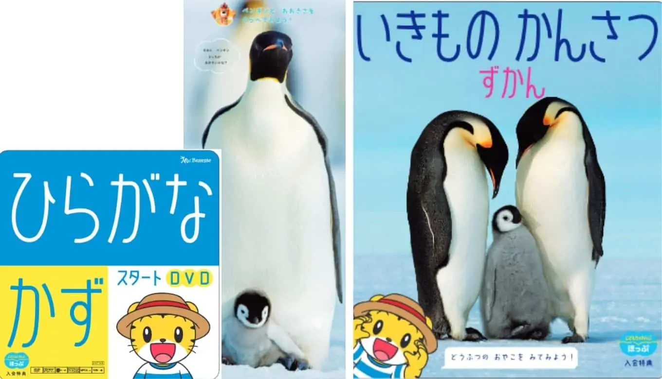 こどもちaゃれんじほっぷ