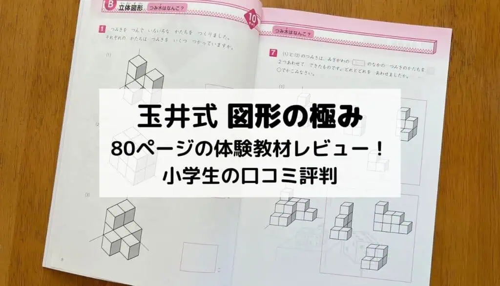 図形の極み2026年口コミ