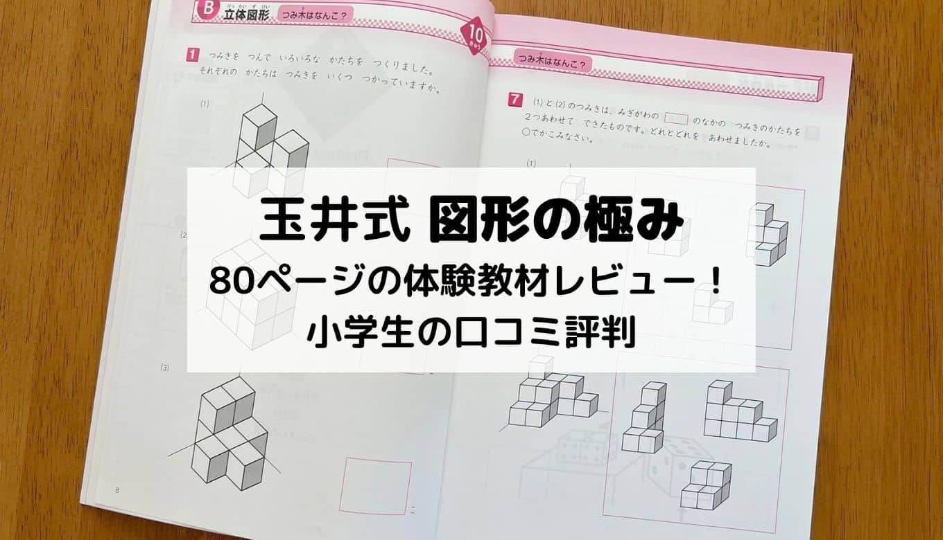 2026】玉井式 図形の極みの口コミ評判！小学生が体験して分かった効果