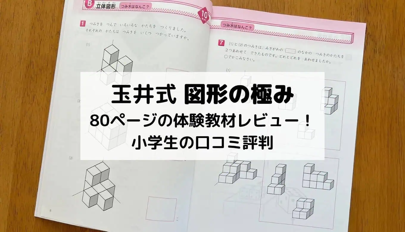 2026】玉井式 図形の極みの口コミ評判！小学生が体験して分かった効果