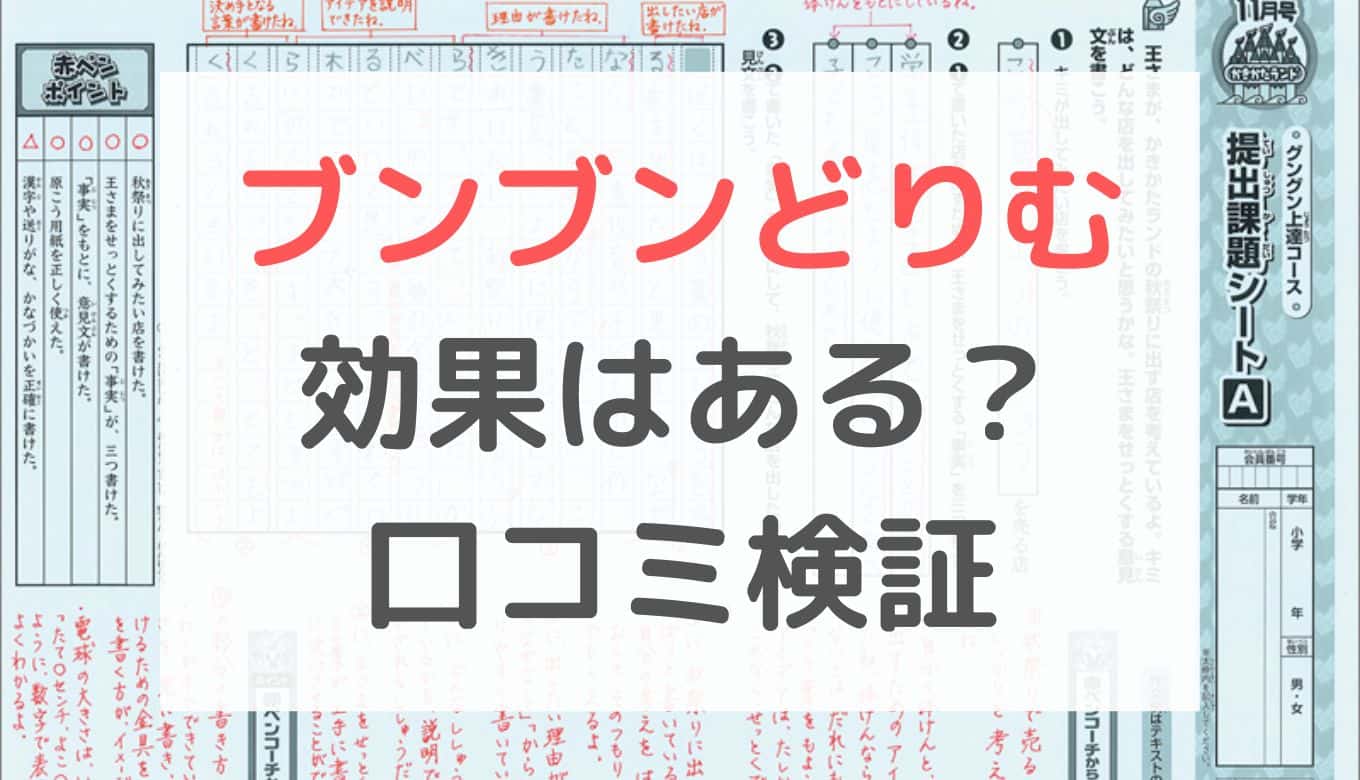 ブンブンどりむは効果なし？受講者の口コミをブログレビュー