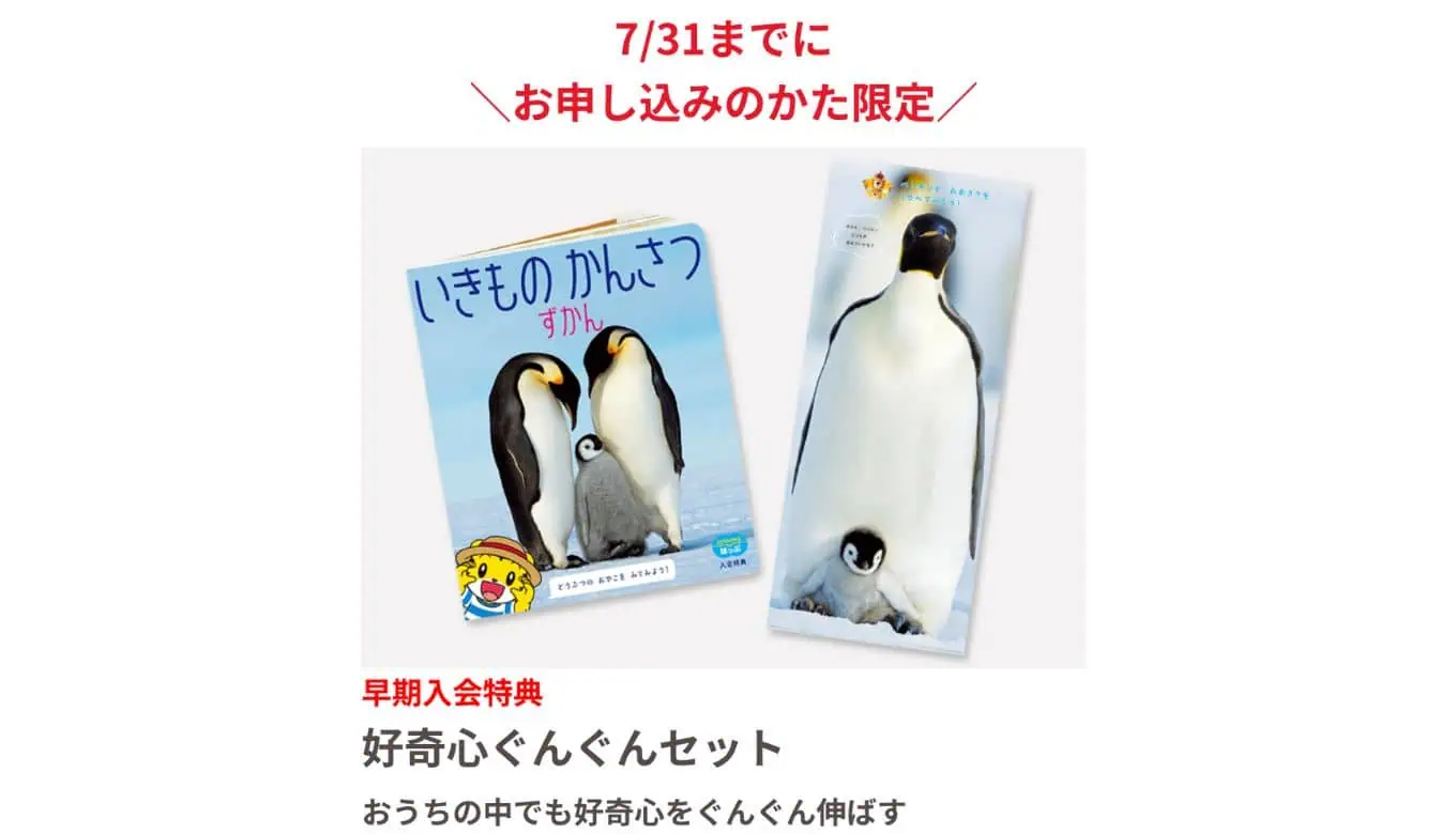 こどもちゃれんじほっぷ夏の特大号2025