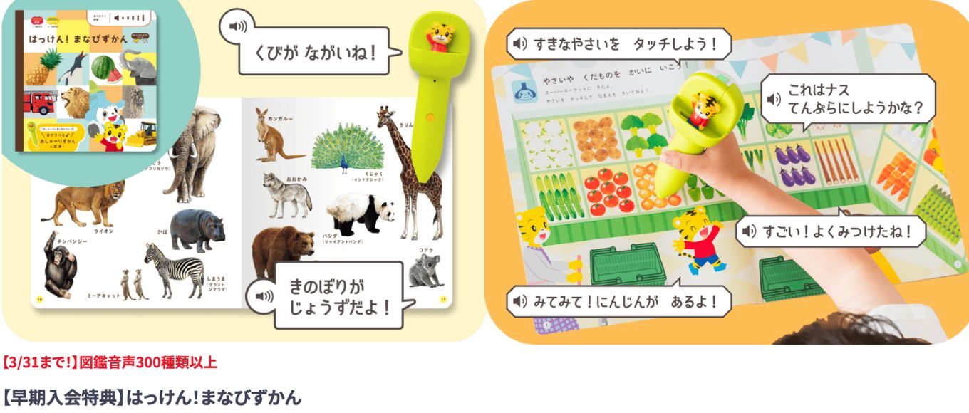 3/31まで！【早期入会特典】はっけん！まなびずかん