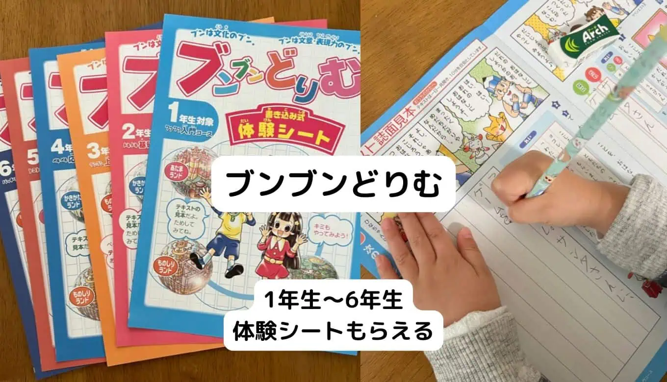 ブンブンどりむ、小学生通信教育おすすめ教材