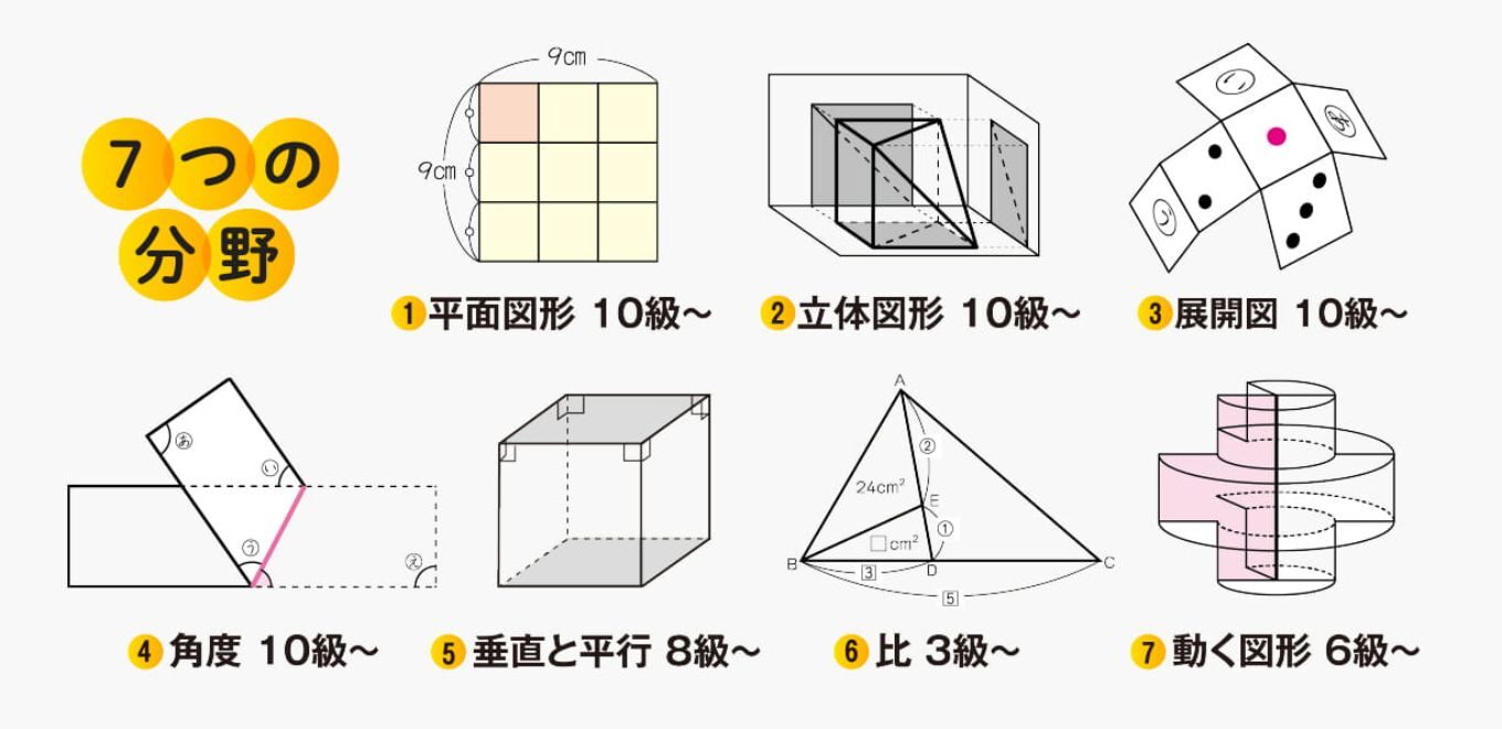 2026】玉井式 図形の極みの口コミ評判！小学生が体験して分かった効果