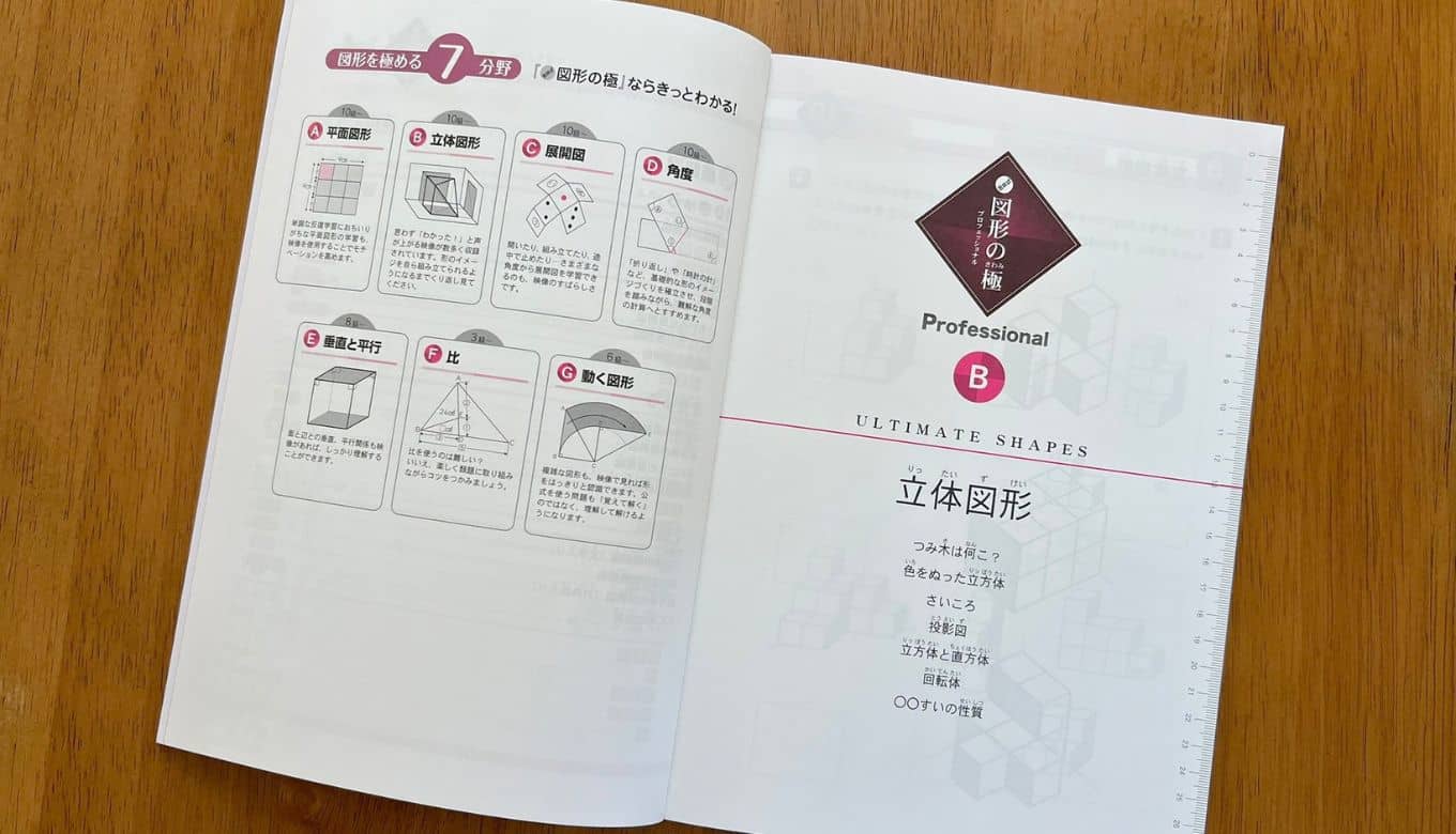 2026】玉井式 図形の極みの口コミ評判！小学生が体験して分かった効果