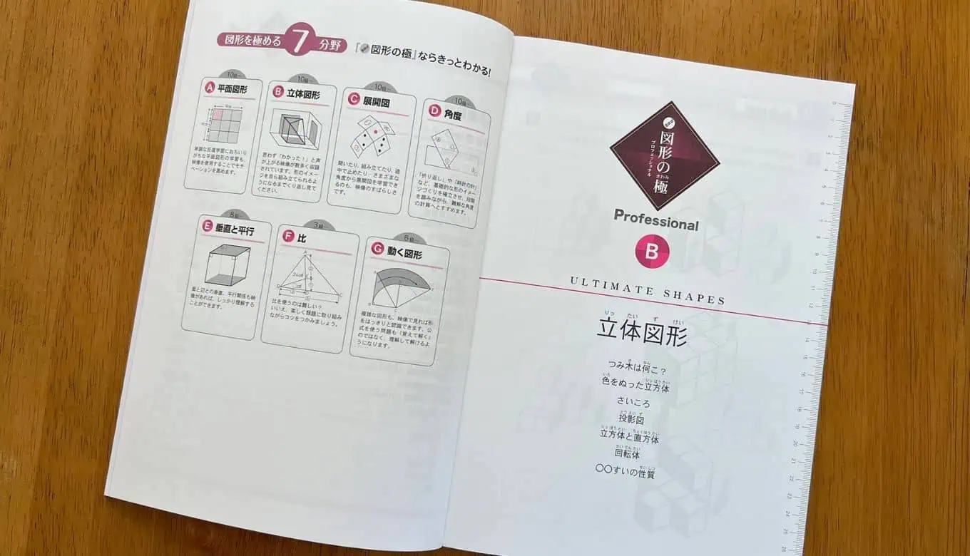 2026】玉井式 図形の極みの口コミ評判！小学生が体験して分かった効果